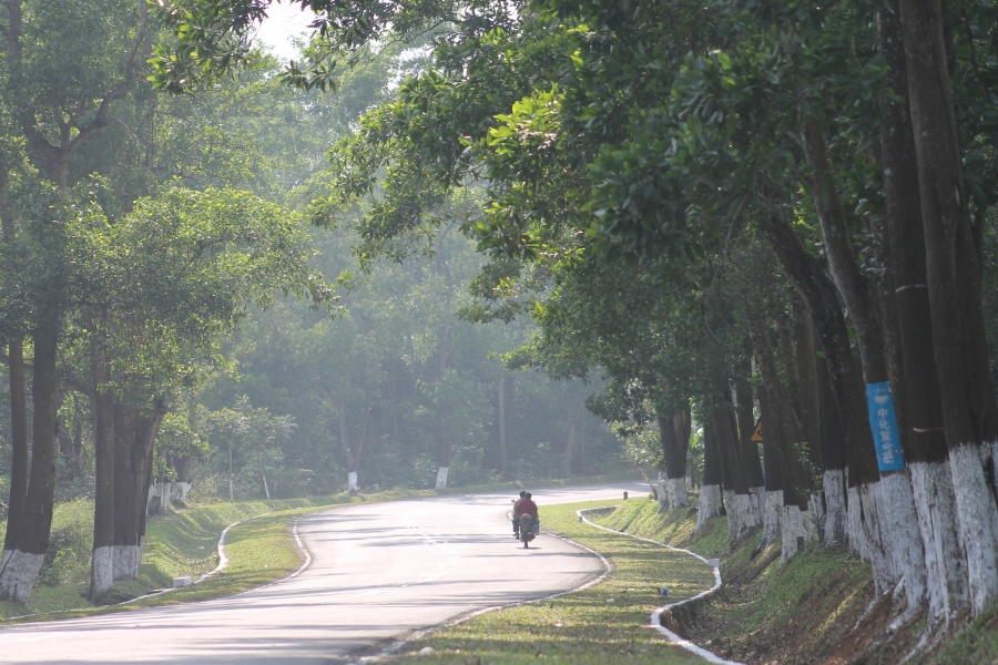 路 009.jpg
